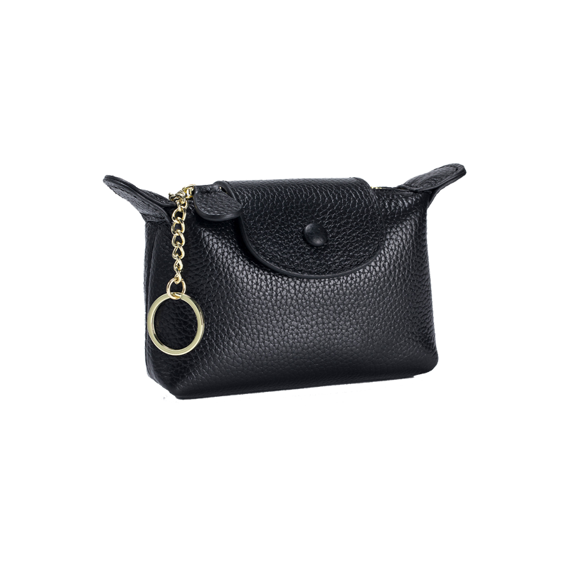 earphone Bag